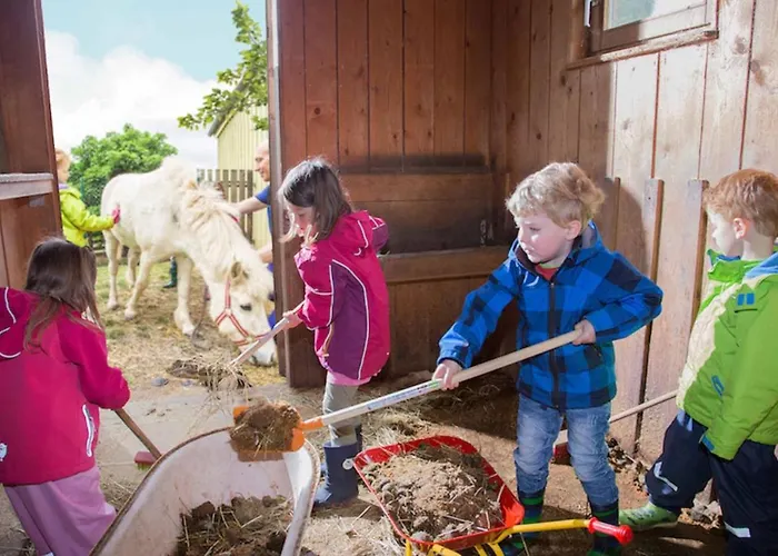 Kinder-ferienhof Burmann Daire